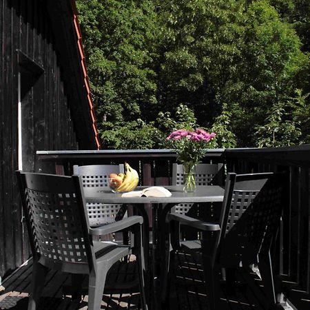 Ferienwohnung Forsthaus Am Brocken, 55 Qm, 2 Schlafzimmer F7 Илзенбург Екстериор снимка